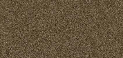 Smoky Brown